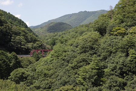 保津峡からの愛宕山1.jpg