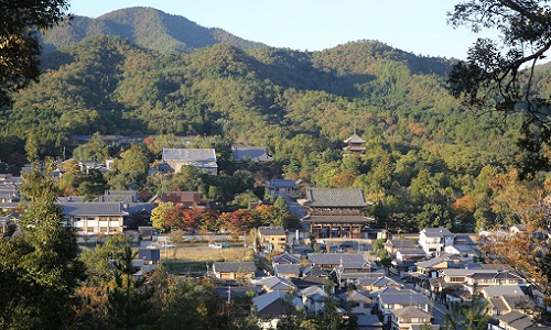 双ヶ岡からの仁和寺.JPG