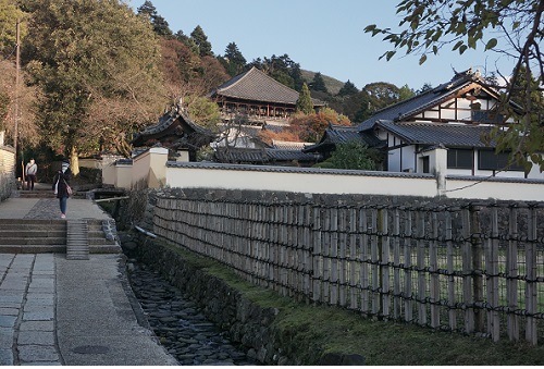 東大寺の裏.JPG