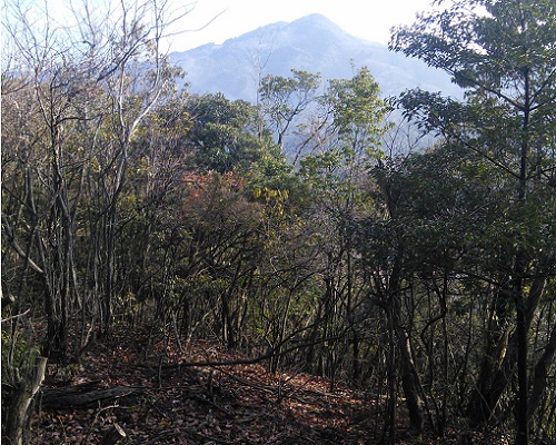 松ヶ崎城跡からの比叡山.jpg