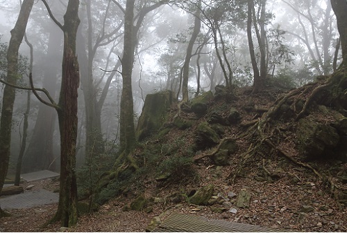 檜谷小屋周辺.JPG