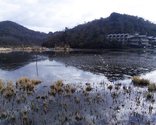 深泥池と西山.jpg