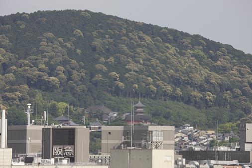 清水寺と萌える東山.JPG