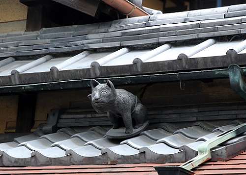 町屋の屋根の猫.JPG