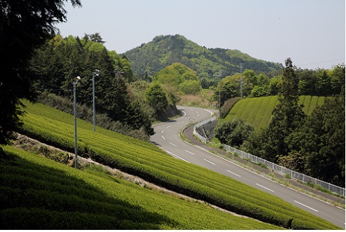 茶畑からの城山.JPG