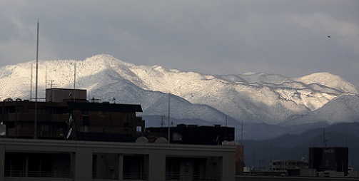 雪の愛宕山.JPG