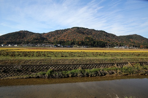 雪野山.JPG