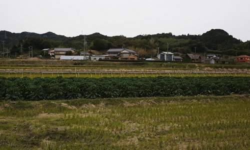 高天神城から高天神山.JPG