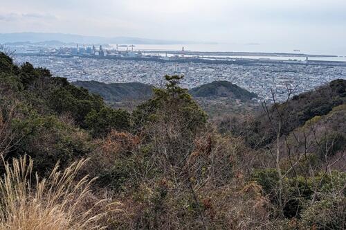 20240129甲山からの和歌山.jpg