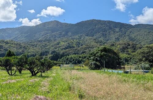 20251012由良からの由良ヶ岳.jpg