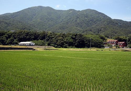 20180617野坂岳.JPG