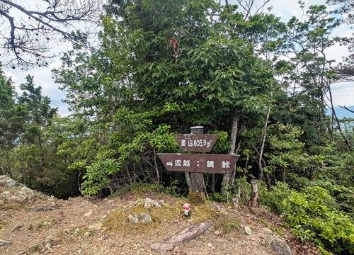 20250623鋸山山頂.jpg