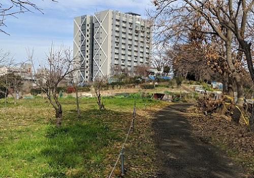 20181227相模高尾山.jpg