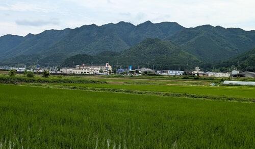 20250622鋸山.jpg