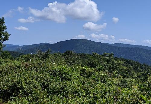 20210721武奈ヶ岳からの三重岳.jpg