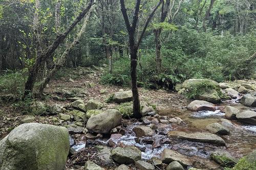 20220828西お多福山への登り口.jpg