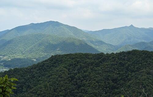 20230624西寺山とトンガリ山.jpg