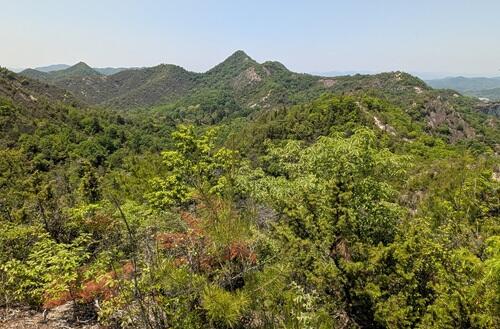 20250516馬の背からの笠松山.jpg