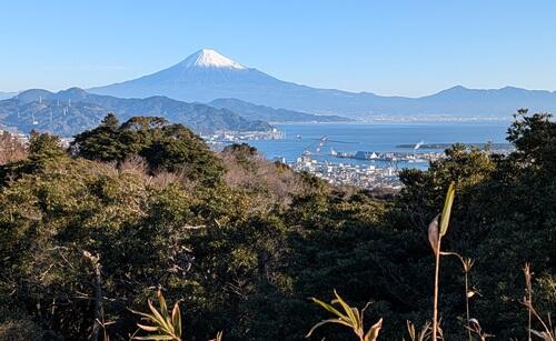 20260112日本平からの富士山.jpg