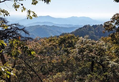 20231119高鳥屋山からの三毳山.jpg