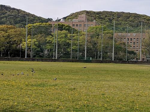 20190416岡山大学.jpg