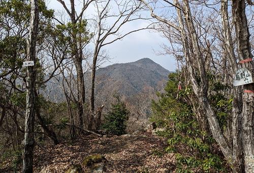 20220325鳥飼山山頂からの大船山.jpg