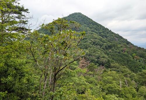 20250623堂の峰.jpg