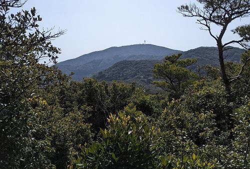 20220307狼煙山からの大山.jpg