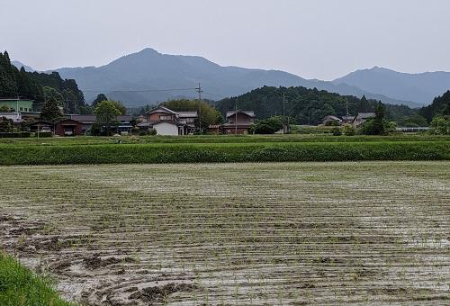 20200605油日岳を.jpg