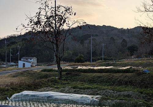 20190109甘南備山.jpg