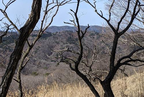 20210313深山手前からの大野山.jpg