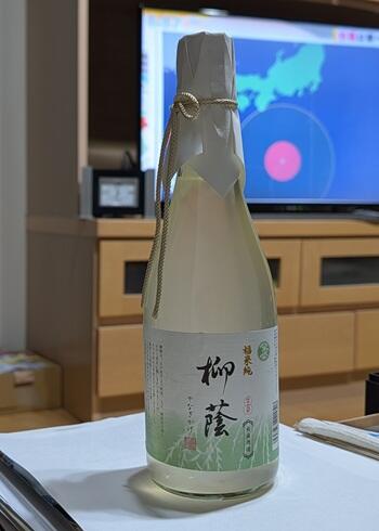 20251014柳陰.jpg