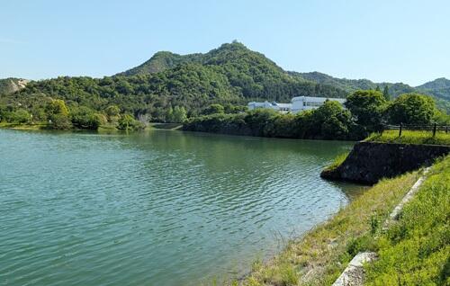 20250514善防山を.jpg