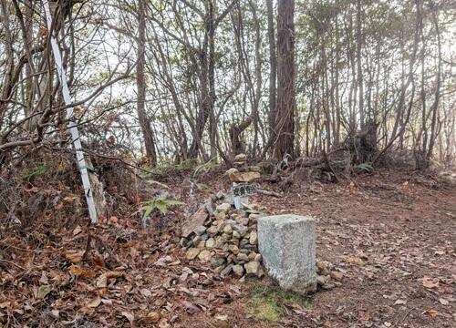 20250328安養寺山山頂.jpg