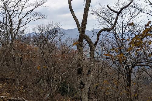 20211118鎌倉山付近からの武奈ヶ岳.jpg