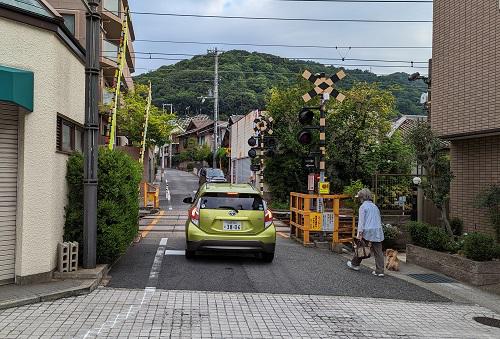 20220829岡本から金鳥山.jpg