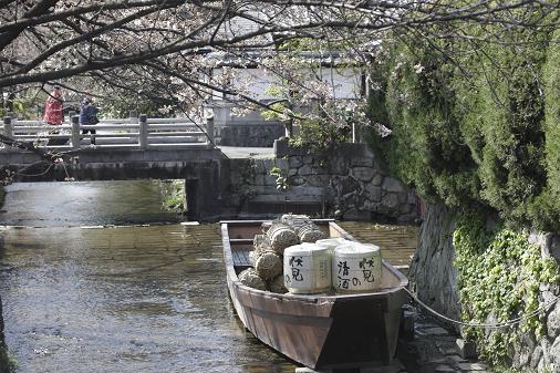 _F9H0031高瀬川の桜1.JPG