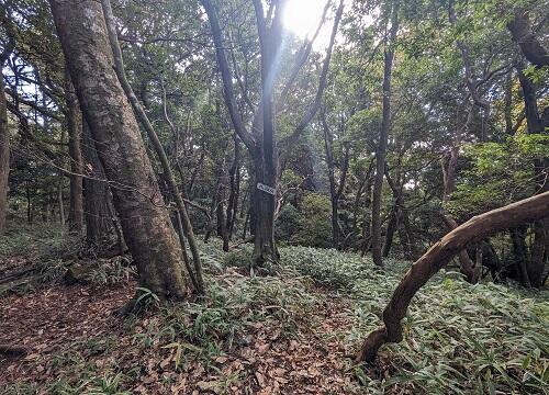 20221105摩耶山最高点.jpg