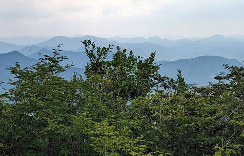 20230624三田方面の山.jpg