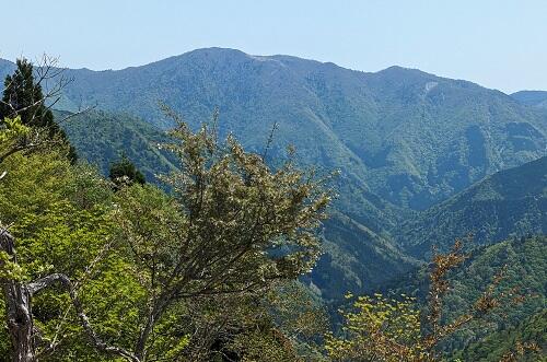 20230503カラ滝山から武奈ヶ岳.jpg