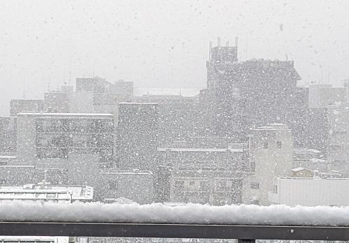 20220114京都は雪.jpg