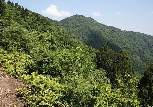 20180605百里ヶ岳.JPG