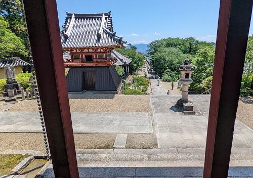 20220604矢田寺.jpg