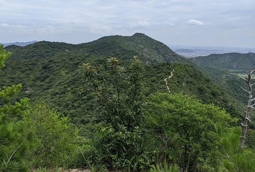 20210709鷹ノ巣山からの高御位山.jpg