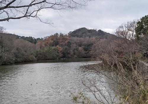 20201226白旗池からの交野山.jpg