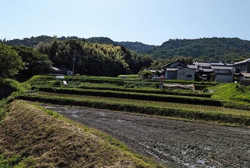 20220606山田の村落と矢田丘陵.jpg