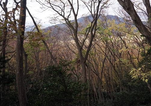 20181122大文字山紅葉.JPG