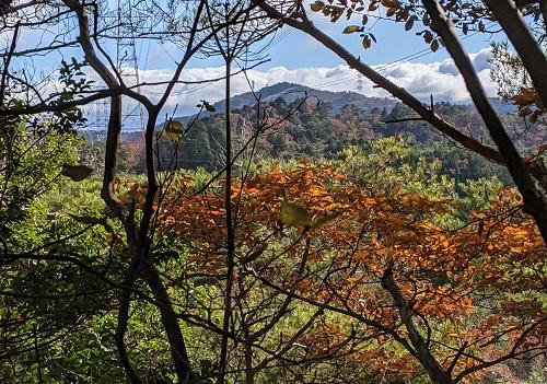 20211129明神ヶ岳の登りからの小塩山.jpg