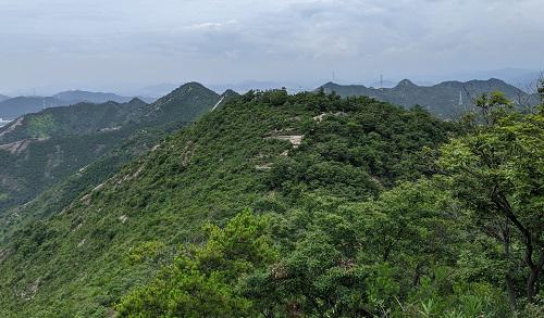 20210709高御位山西から桶居山方面.jpg