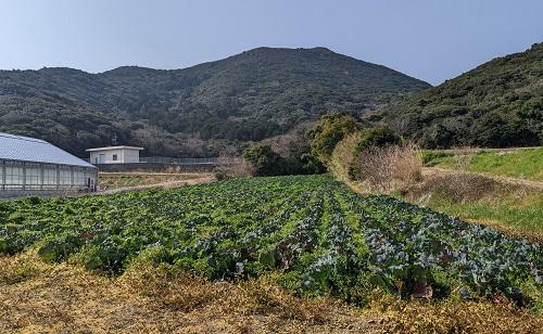 20220306石神付近からの雨乞山.jpg